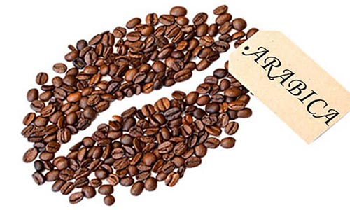 قیمت دانه قهوه عربیکا لوکس کنیا