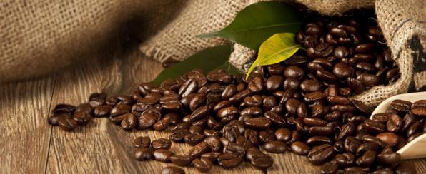 عرضه ارزان قهوه دارک در کشور