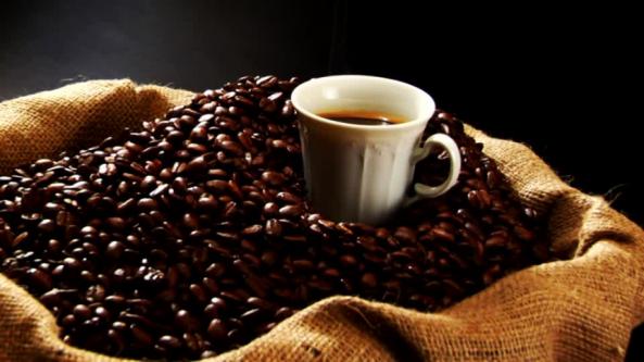 راهنمای تشخیص قهوه پی بی با کیفیت بالا