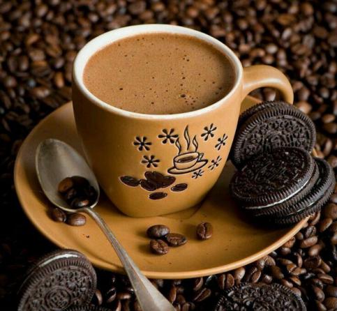 خریدار عمده بهترین قهوه پی بی در کشور