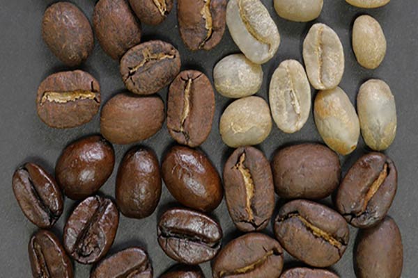 قهوه هندی روبوستا