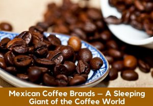 دانه قهوه مکزیک