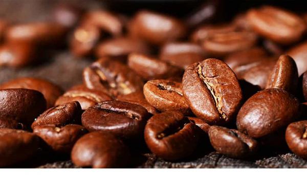 خرید و فروش دانه قهوه در کشور