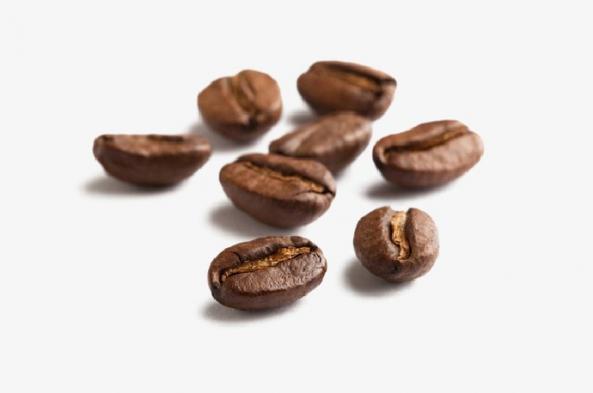 برند های مختلف تولید کننده قهوه 