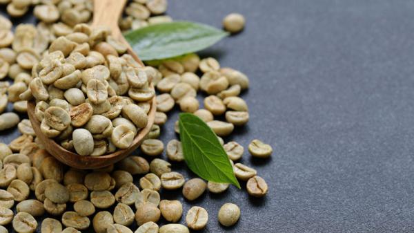 خرید دانه قهوه سبز با ارزان ترین قیمت در اصفهان