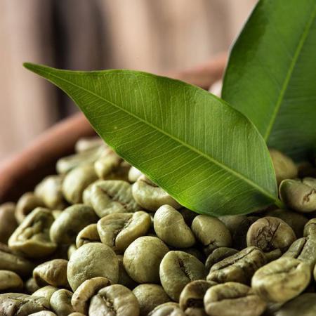 فروش دانه قهوه سبز با بالاترین کیفیت