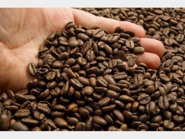 کارخانجات تولید کننده دانه قهوه خام