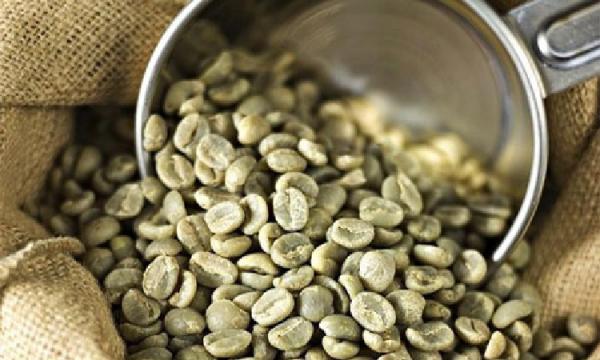 خرید دانه قهوه سبز اصل از شرکت های وارد کننده