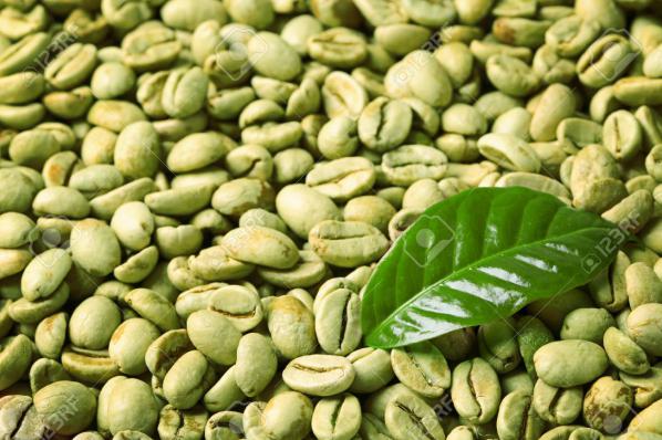 وارد کنندگان دانه قهوه خام در ایران