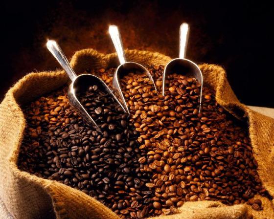 مراکز فروش دانه قهوه خام در ایران