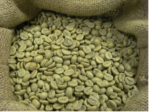 شرکت های وارد کننده قهوه سبز با ارزان ترین قیمت