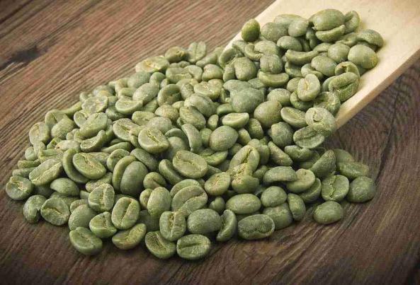 بازرگانی فروش دانه قهوه سبز 