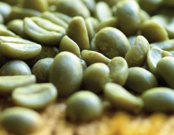 قیمت قهوه سبز کلمبیا در بازار ایران