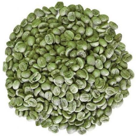 فروش قهوه سبز عربیکا با ارزان ترین قیمت
