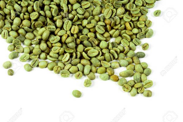 فروش و عرضه دانه قهوه سبز به صورت عمده 