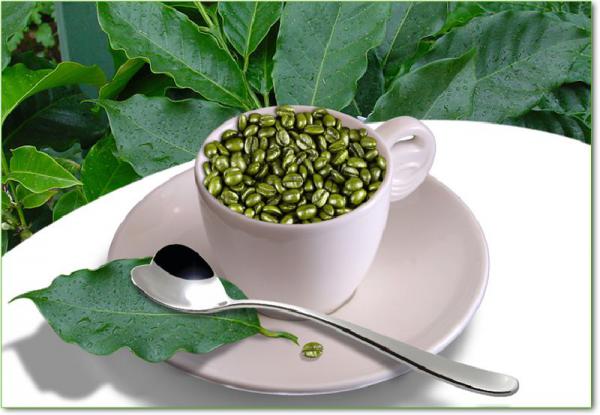 قیمت روز قهوه سبز در بازار ایران