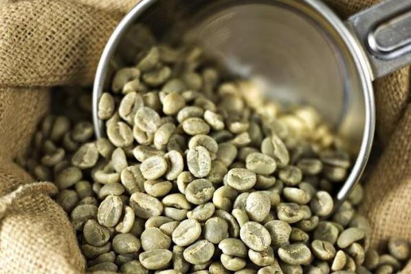 خرید عمده دانه قهوه سبز با بهترین قیمت