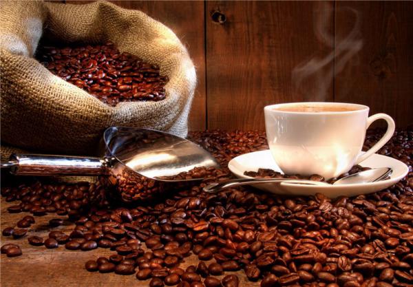 شرکت توزیع کننده دانه قهوه خام مرغوب
