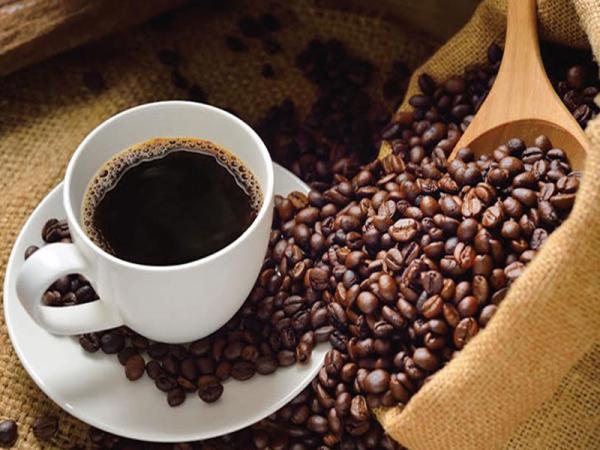 کارخانه های معتبر قهوه پر کافئین در مشهد