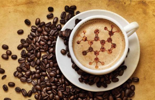 صادرات قهوه مولیناری به کشور های همسایه