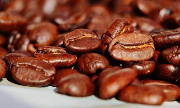 فروش بهترین مارک قهوه گلد در تبریز