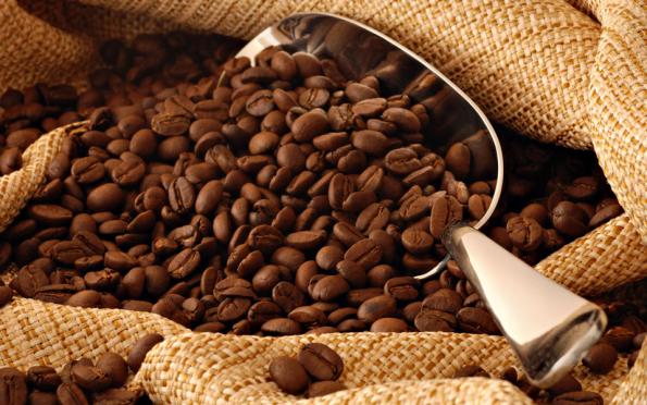 صادرات دانه قهوه به کشورهای آسیایی