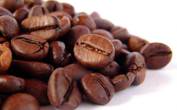 برترین تولید کننده دانه قهوه بو داده