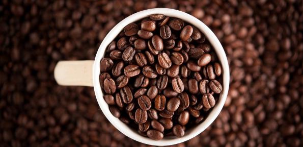 توليدکننده قهوه دارک با تخفیف ویژه در سراسر کشور