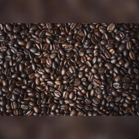 تامین کننده قهوه اصل