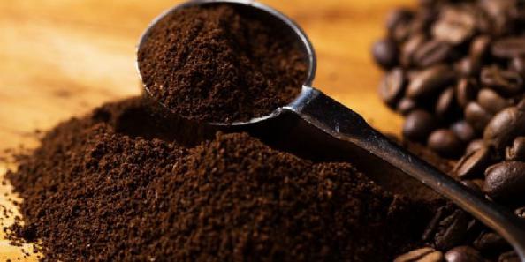 عوامل موثر در قیمت گذاری قهوه روبوستا در کشور