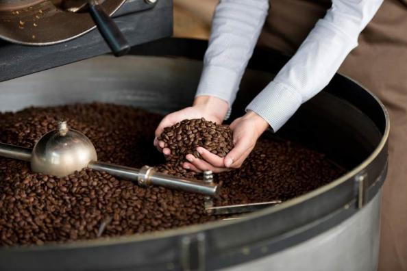 سریع ترین راه تهیه قهوه روبوستا در کشور
