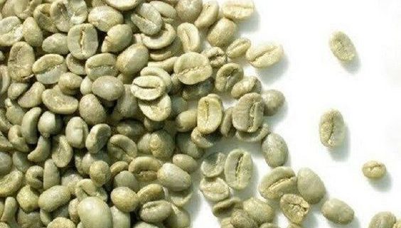 وارد کننده انواع قهوه خام ارزان در ایران