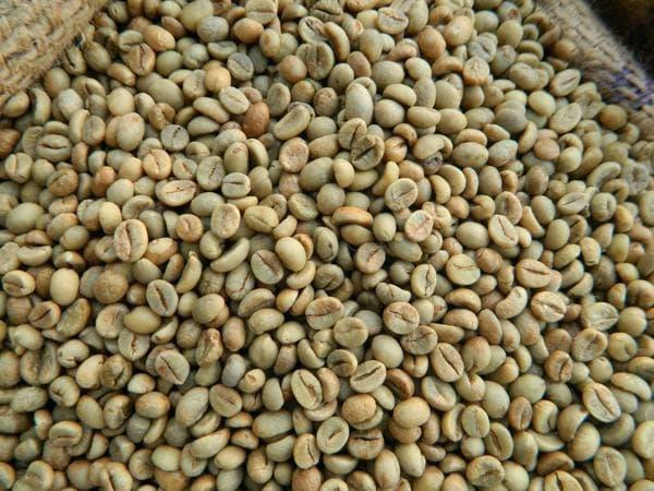صادرات عمده قهوه ایرانی