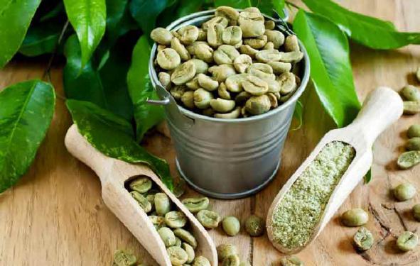 شرکت تولید دانه قهوه سبز عمده