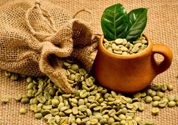 دلایل محبوبیت دانه قهوه سبز